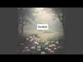Download Lagu Hidden Beauty.