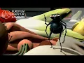 Download Lagu Flash in the pan | A Short Film by Florian Kraft