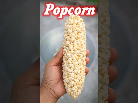 Bhutta + oil = Popcorn? #popcorn #experiment #mrgarhwaexperiment