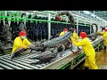 Inside the Giant Scorpion Factory: How Raw Venom Turns Into Joint Medicine (Full Process)