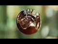 IHM - FKJ