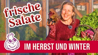 Wintersalate pflanzen & Herbstsalate ernten bis Dezember | Garten im Oktober