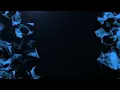 Plexus Explosion Pack Stock Motion Graphics