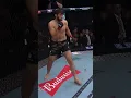 Lagu Alex Pereira KOs Magomed Ankalaev!