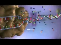 Download Lagu Van DNA naar eiwit - 3D