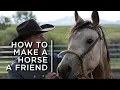 How to make a horse a friend One cowboy s partnership with horses