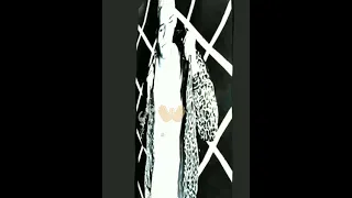 افجر حالات واتس مهرجانات  عصام صاصا جديد لسه منزلش       كلها نفسها تدفن عمها دندنها