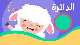 التعرف على شكل الدائرة ت م رة للأطفال بدون موسيقى 