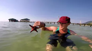 Starfish Beach,  Phu Quoc Island, Vietnam