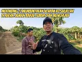 Download Lagu MERINDING !! MELIHAT PINGGIRAN MAKKAH SEMAKIN SUBUR DAN MENGHIJAU