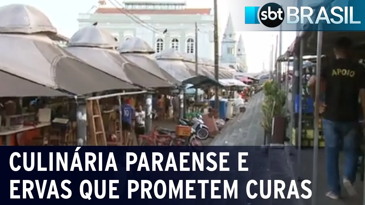 Culinária paraense e ervas que prometem curas | SBT Brasil (08/08/23)