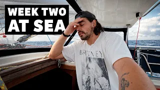 The Reality of Sailing Around the World Is Setting In