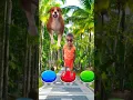 Download Lagu I jump on button to Cow, Dog, siren head, Zombies #youtubeshorts