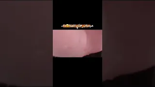 عرسان هاي اليلة 