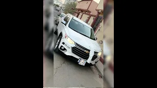 امسك حلق حوش ياشاويش            دندنها