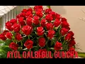Download Lagu Onalarga eng chiroyli gullar to'plami