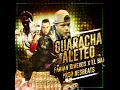 Guaracha Aleteo
