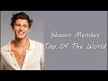 Shawn Mendes - Top Of The World (Lyrics)