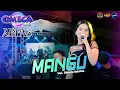 Download Lagu MANGU - ALMERA SABRINA OMEGA MUSIC LIVE ARPAS #dhehanpro