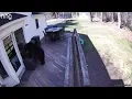 Bear visits home in Granby
