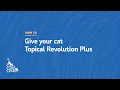 How to Apply Topical Revolution Plus to your Cat Cat Care Clinic Madison WI