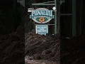 Famous Hawaii Bakery Total Loss After Hurricane Lala