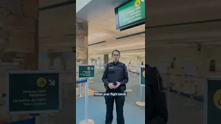 Advance Declaration Save time at the airport