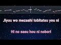 Karaoke♬ DIGNITY -  Ado【No Guide Melody】 Instrumental, Lyric Romanized  THE SILENT SERVICE