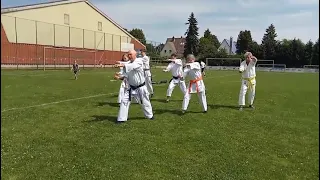                     دندنها