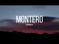 Download Lagu Lil Nas X - MONTERO (Call Me By Your Name)