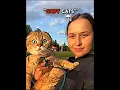 Download Lagu Copy Cats..😸 | Song: Nada Nada - Jmilton |