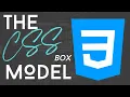 CSS Box Model Tutorial for Beginners