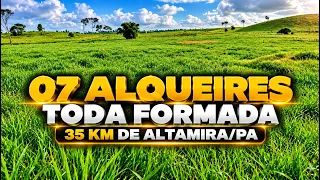 FAZENDINHA PRONTA DE 07 ALQUEIRES TODA FORMADA E ESTRUTURADA A VENDA NO SUDOESTE DO PARÁ EM ALTAMIRA