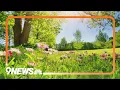 Allergy season has arrived in Colorado