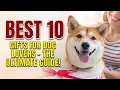 Top 10 BEST Gifts for Dog Lovers in 2026 Ultimate Gift Guide
