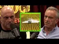 Robert Kennedy Jr On Suing Monsanto and The Dangers of Round-Up