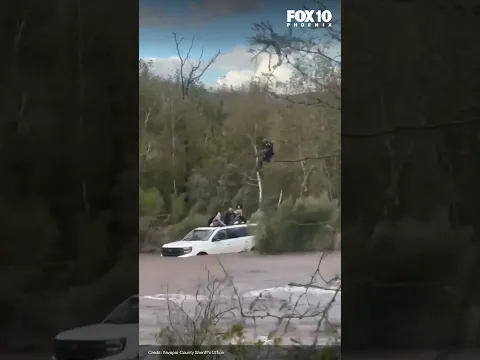 4 rescued after car is swept away in Arizona creek | FOX 10 Phoenix