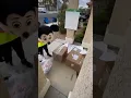 Lagu Delivery Person Dress Up As Mickey Mouse For This Kid 🥺❤️🙏🏾 #shorts