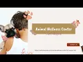 Animal Wellness Center Fort Wayne