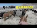 How to become a Hand Part 2 Gaining Expierience