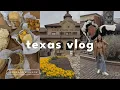 3 days in dallas texas bbq fort worth stock yards cafes shopping