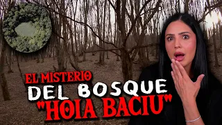 El Bosque Donde la Gente Desaparece Sin Dejar Rastro | Hoia Baciu