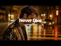 Never Dies - Love.exe_vibes(Official Lyric Video)