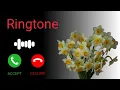 Incoming Call Ringtone Hindi Song Ringtone Ringtone Download Best Ringtone Trending Ringtone