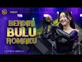 Download Lagu BERDIRI BULU ROMAKU - Cantika Adella - OM ADELLA.