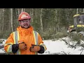 New Brunswick Forester Caleb Waite Loves His Office