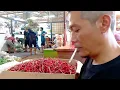 Download Lagu #kabarpasar #jualandipasar #pasarinduk  hari ini jengkol nya menyala🔥abangku‼️