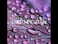Cozy Rainfall