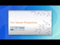 Perspectives Overview