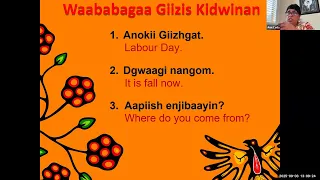 Giizisoo Mzinigan Anishinaabemowin Series With Ann Cada 